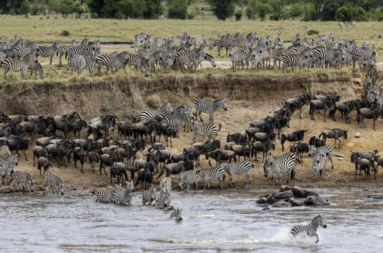 Serengeti – 5-Day Great Migration Fly-in Safari from Zanzibar